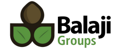 The Balaji Groups
